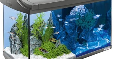 Acuario Tetra AquaArt Discovery Line de 60 litros